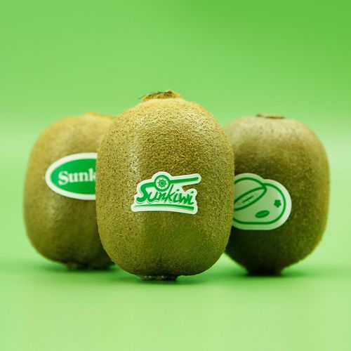 眉縣大氣農(nóng)場 數(shù)字獼猴桃專業(yè)合作社以集約化管理推動(dòng)品牌分紅與銷售升級