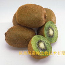 寶雞市特產(chǎn)銷售行業(yè)協(xié)會 領(lǐng)航獼猴桃產(chǎn)業(yè)，打造“金果”新名片